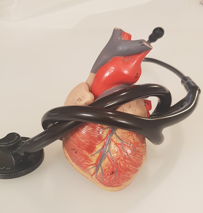 L’ipertensione arteriosa : un nemico invisibile della nostra salute